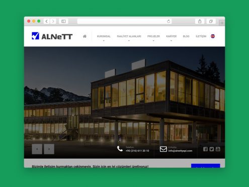 Alnett kurumsal web sitesi