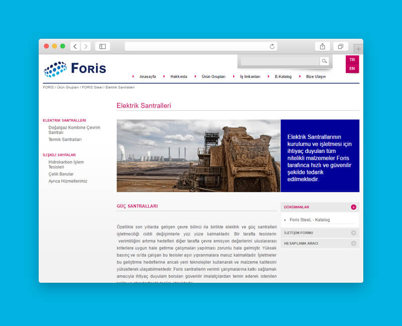 foris web site tasarımı